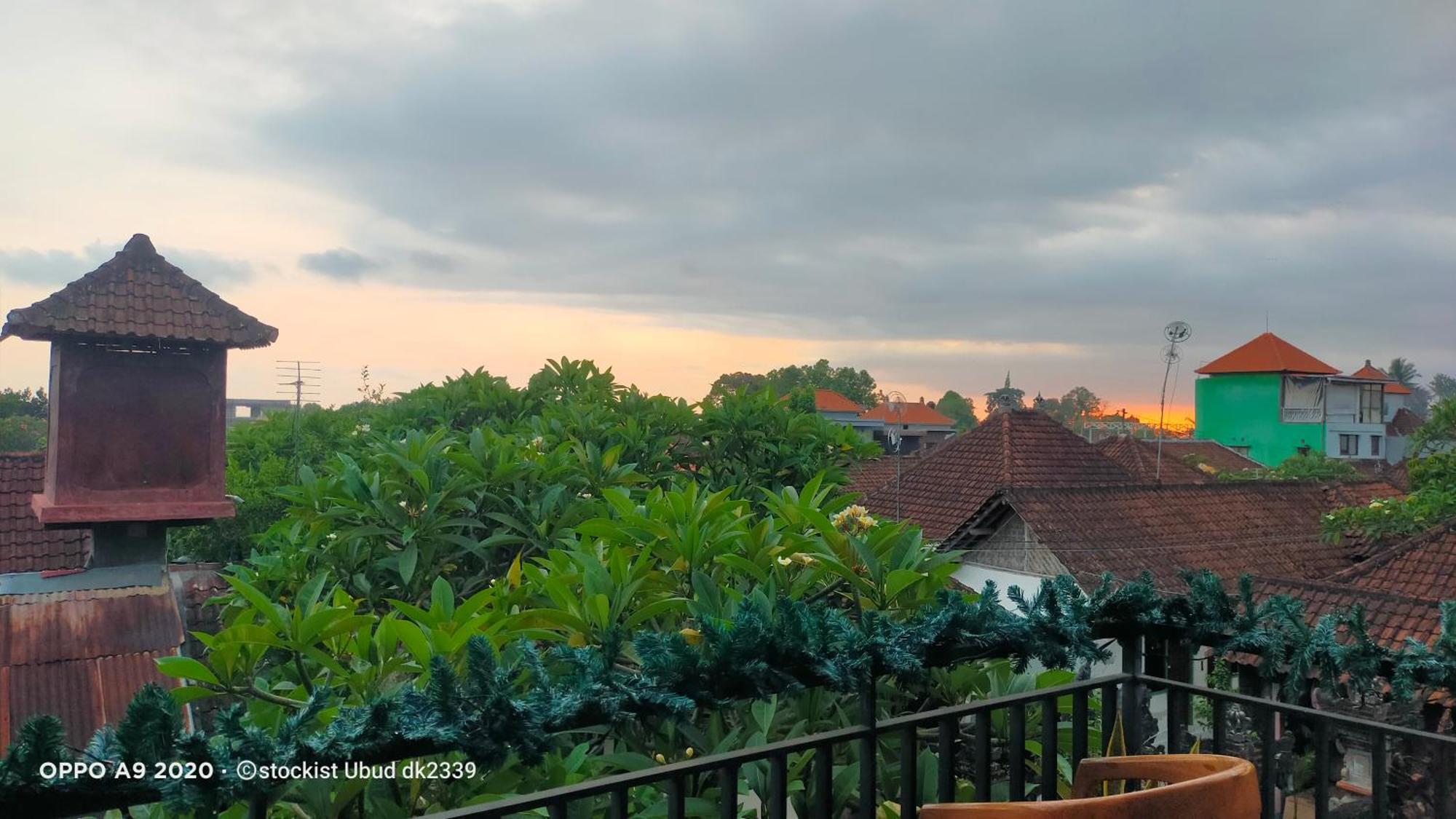 Danu House Ubud Esterno foto