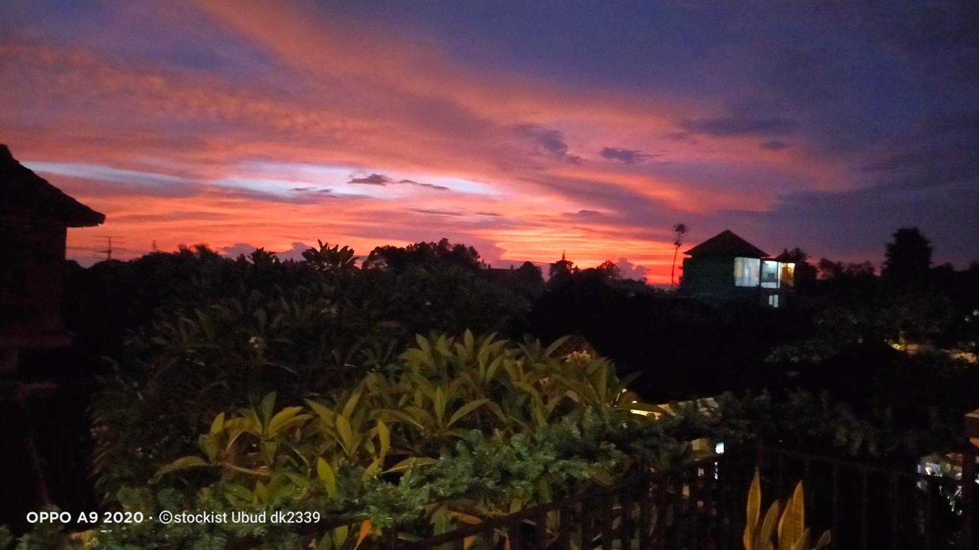 Danu House Ubud Esterno foto